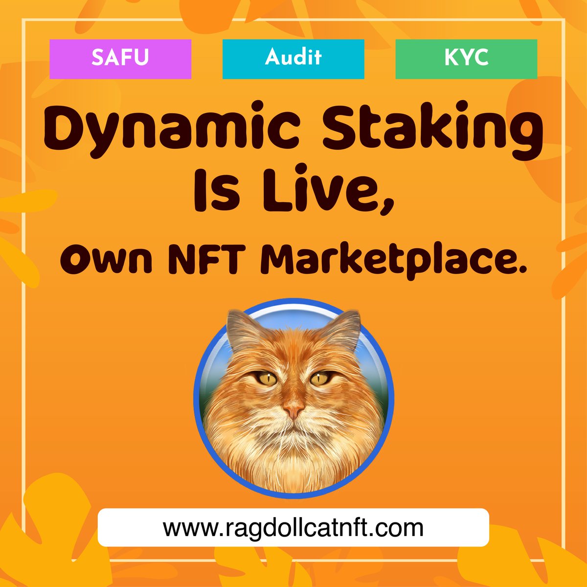 RagdollCat NFT tweet media