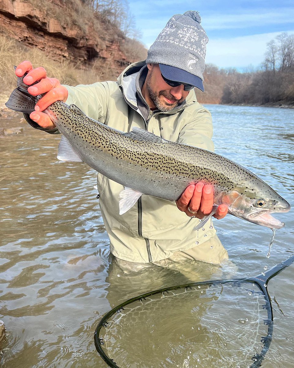 troutit's tweet photo. After a few heartbreaks of some big ones breaking off, I rolled up my sleeves and introduced the  12lb tippet into the mix.  I just couldn’t  handle another beast snap me off.  Fortunately,  I got to tango with this beauty.  One hot fish!  #troutitout #steelhead #steelheadfishing https://t.co/1qXvIYEccU