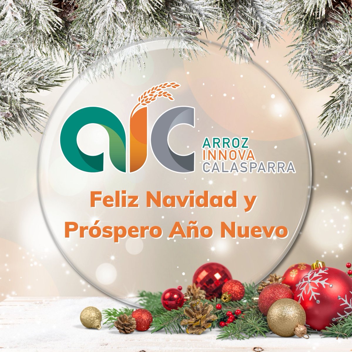 El Grupo Operativo ArrozInnova Calasparra os desea a todos una ¡Feliz Navidad y próspero año 2023! 🥳🎄 Sigamos cumpliendo sueños y objetivos juntos el próximo año. Innovación y Sostenibilidad en el cultivo del Arroz DOP Calasparra 🌾 #GrupoOperativo #ArrozInnova #Calasparra