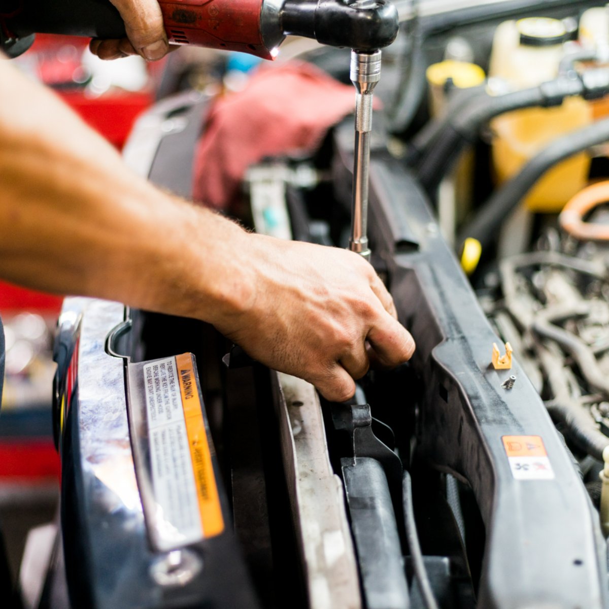 Brownie's Auto tweet media