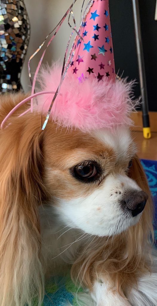 Maureen Van Zandt (@mvzagogo) on Twitter photo Edie celebrating her godfather <a href="/thedavidcook/">David Cook</a> ‘s birthday today ! A great friend , a great artist. We love you D! Edie celebrating her godfather <a href="/thedavidcook/">David Cook</a> ‘s birthday today ! A great friend , a great artist. We love you D!