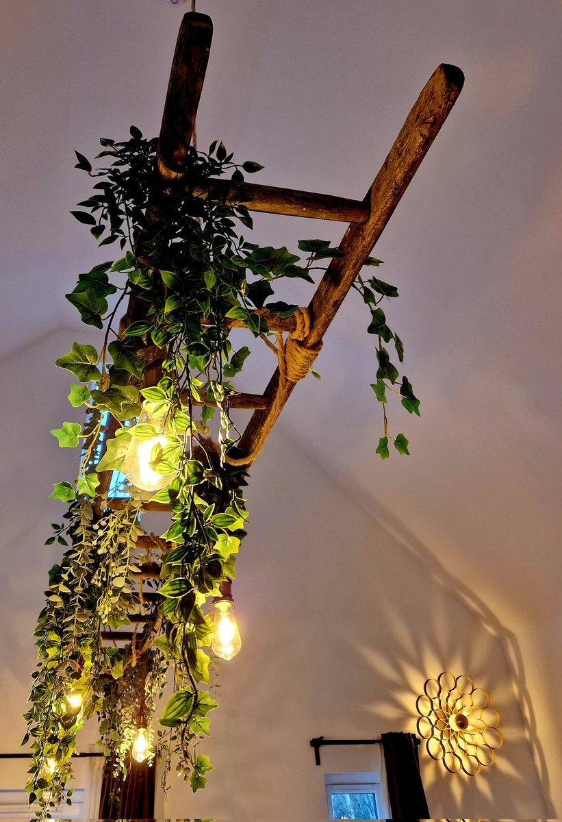 Sarah Cameron tweet media