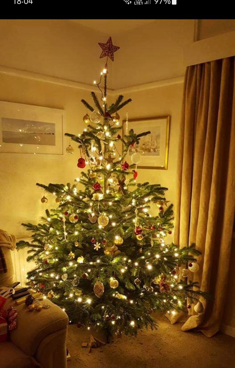DozyFlamingo's tweet photo. #pickytree https://t.co/45JYd0WYTX