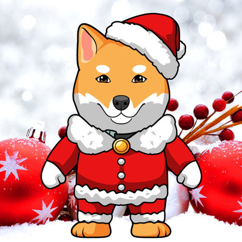 Floki Santa 🐶🎅🎄 tweet media