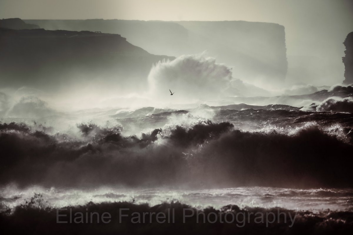 _EFarrellPhoto's tweet photo. Wild scenes along the Co. Clare coast this afternoon. Warm sunshine, (although you wouldn’t think so from this image), high winds and incoming tide. 👌🏻#coclare #ireland Feel free to share, thanks. E https://t.co/XH4QzkhtRs