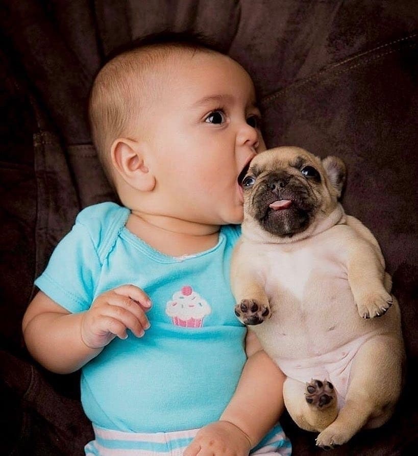 Best buddies for life! Photo: @somdrea --------- If u love Pug don't forget to Follow me 👉 @pug_lover_luna_ For daily PUG photos & videos💝 Thank you so much 👌🏻👌🏻❤️❤️