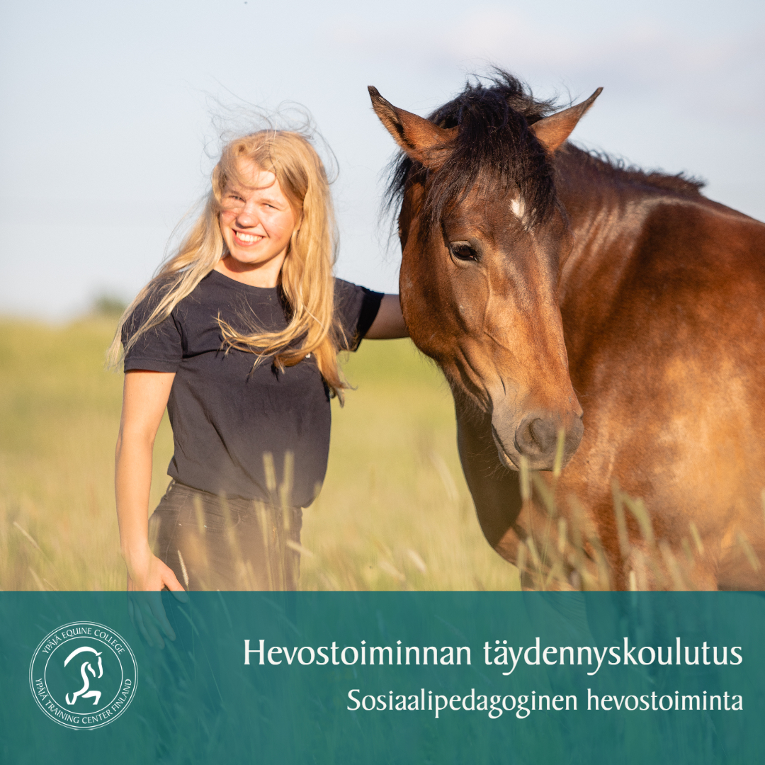 Haluatko yhdistää hevoset sosiaalisen kasvun ja hyvinvoinnin tukemiseen sekä sosiaaliseen kuntoutukseen? - Tämä koulutus on sinulle! 

Hae 3.2. mennessä!
hevosopisto.fi/koulutus/ammat…