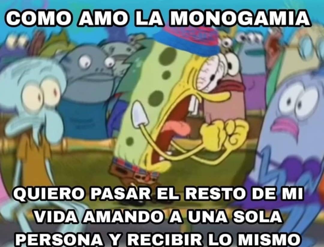 *messi le da la copa a anto para sacarle una foto* *scaloni gana la copa y sube una foto diciendo "gracias eli"* *los jugadores diciendo esto se lo dedico a "mi mujer"* *di maría diciéndole a su esposa "voy a salir campeón amor"* *el papu gomez andando con linda desde el liceo*