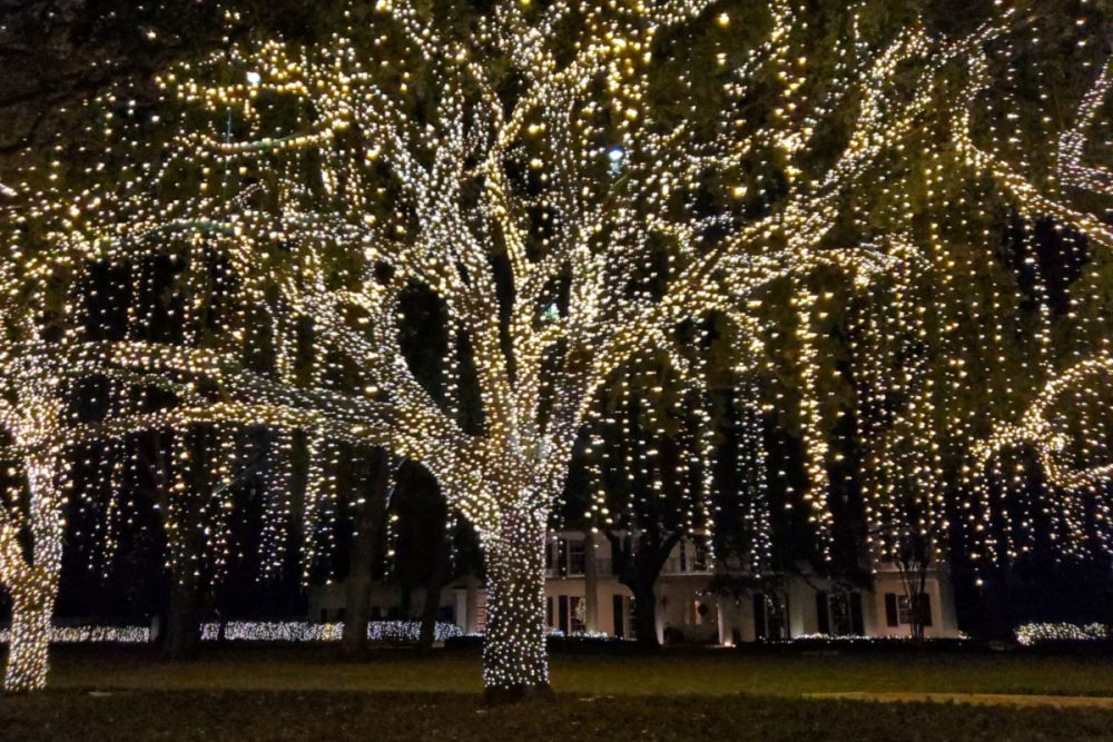 Altarena's tweet photo. 💡You Kept the Lights On - https://t.co/7RkdRoP15s https://t.co/lD8dKfZJPh