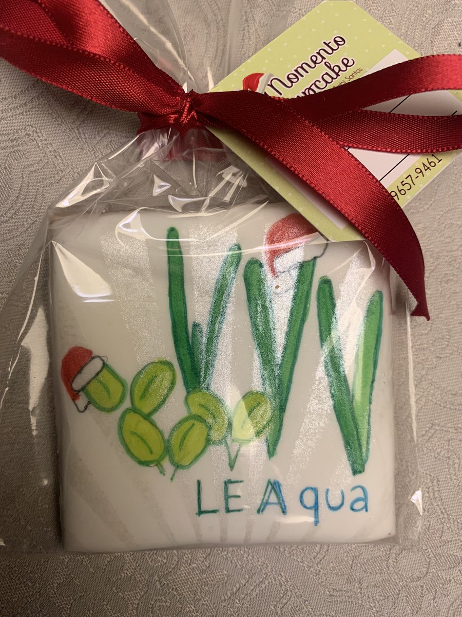 magalhaeskm's tweet photo. Seagrass 🍪 for Christmas in our lab. Laboratório de Ecossistemas Aquáticos (LEAqua) #seagrass #halodule #halophila https://t.co/Czoxsx5wmv