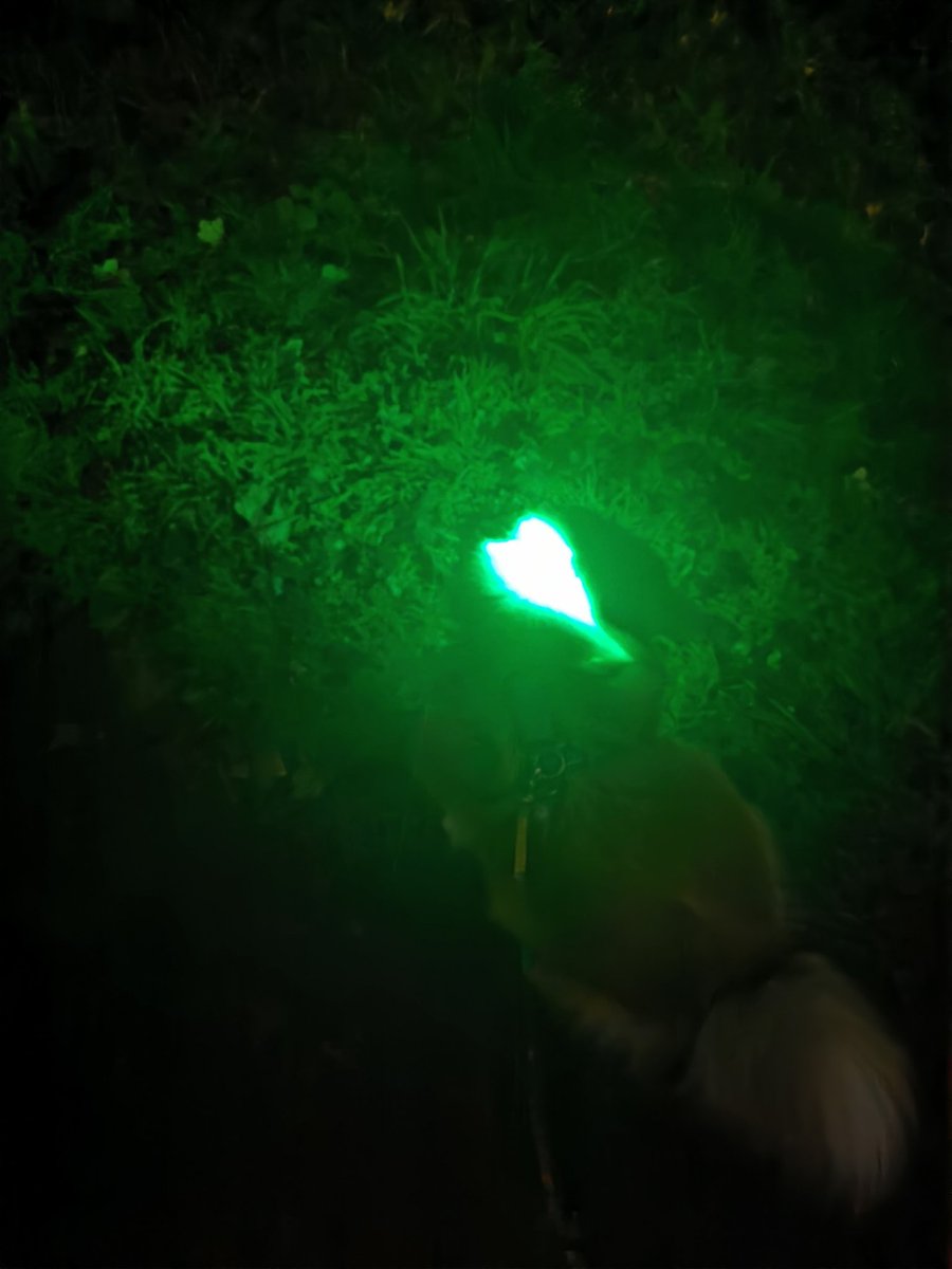 Abendrunde mit frischen Batterien im <a href="/SlinqEu/">slinq.eu</a> 🥰