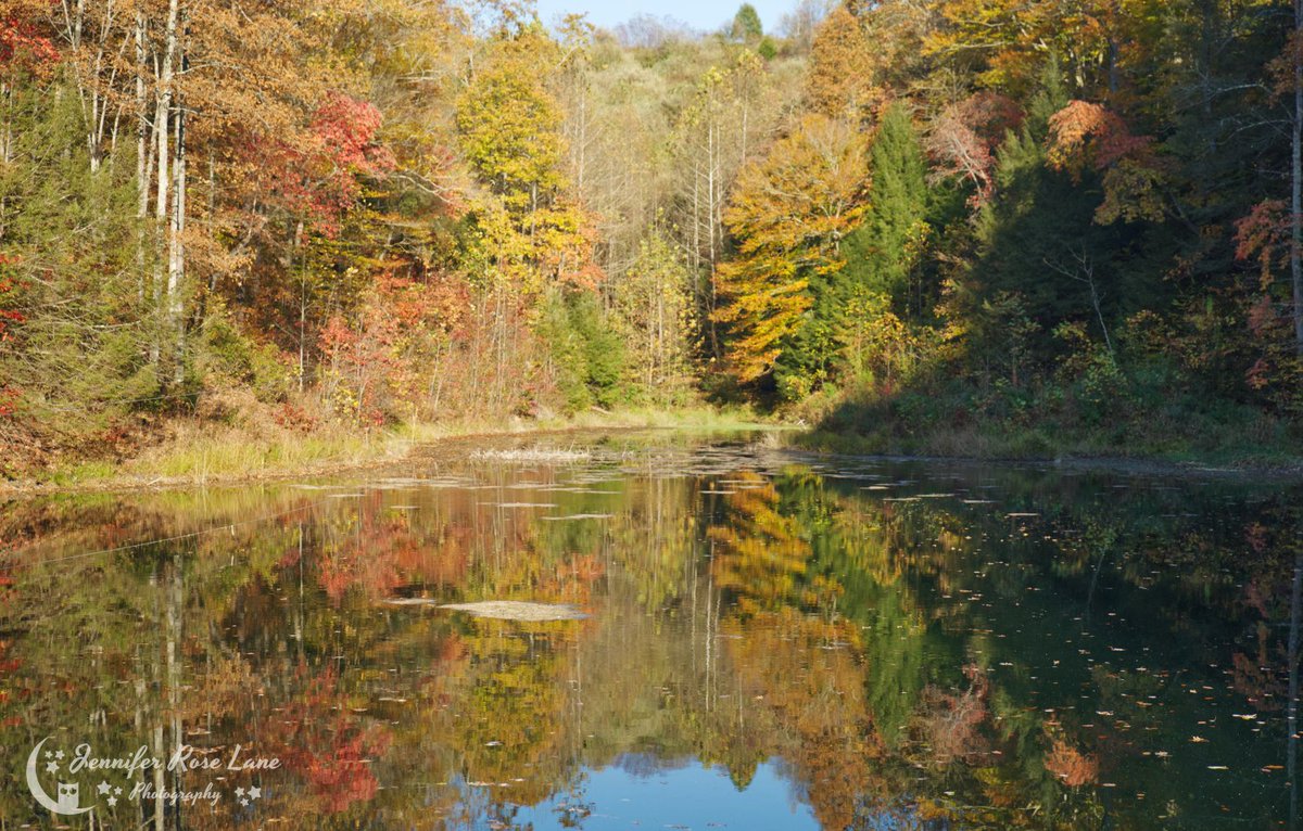 Jens_Starry_Sky's tweet photo. Fall reflections from back in October 😍🍂🍁 #LastDayOfFall #GoodbyeFall #seasons #WV https://t.co/YHnPhRSSIb