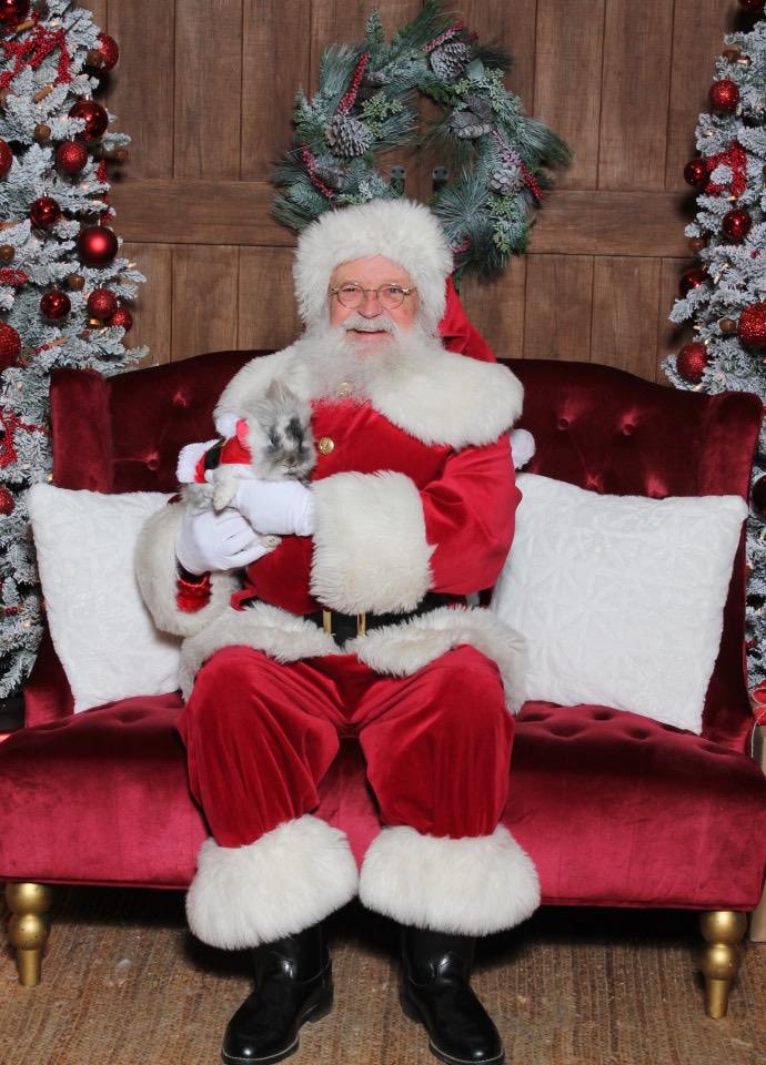 BunSilver's tweet photo. Silver Bun Bunette is sharing her sassiness with Jolly Ol’ Saint Nick! Look at that paw! Happy holidays everyone! https://t.co/SnB91E6TdQ