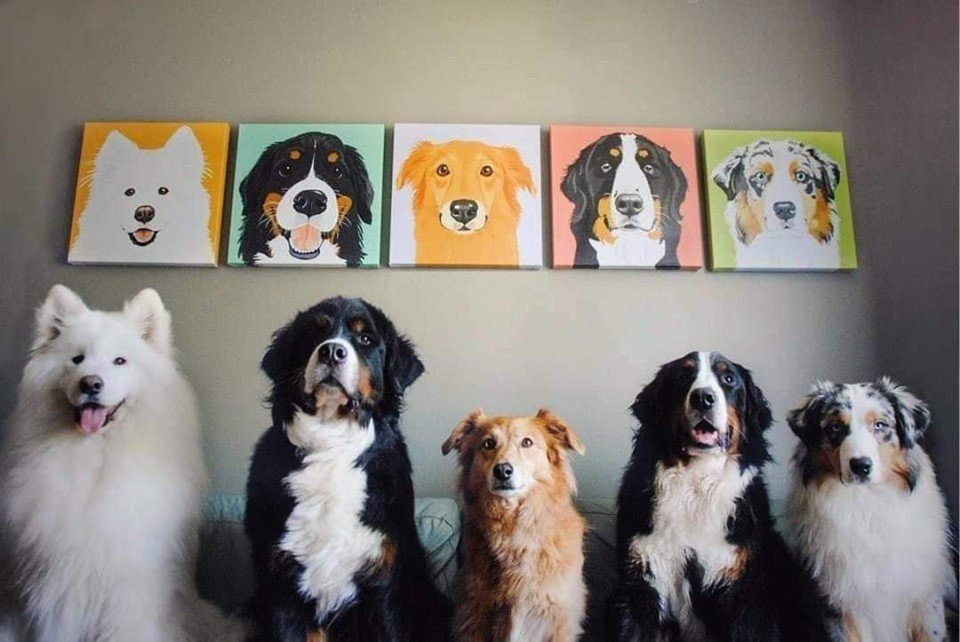 A minha foto preferida de todos os tempos