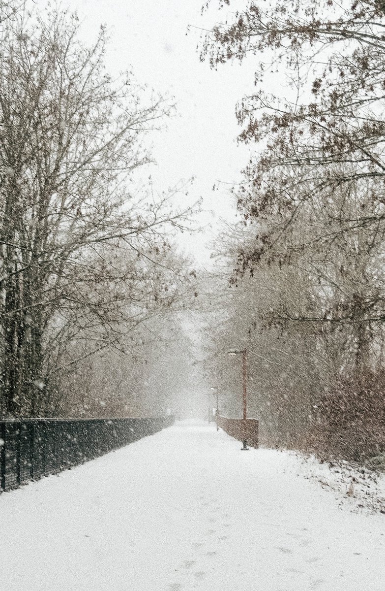 tiarebowman's tweet image. Finally! Some snow in Redmond :):):) #x100v #seattlesnow