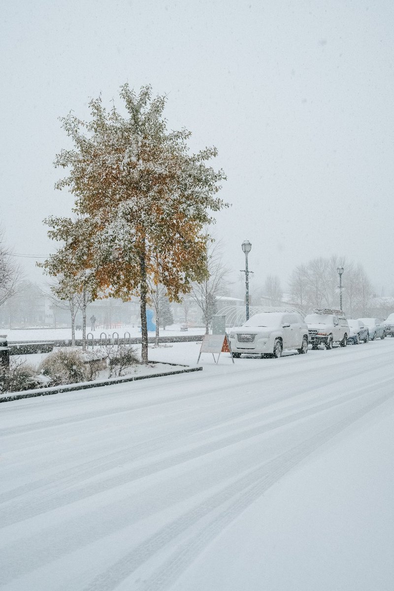 tiarebowman's tweet image. Finally! Some snow in Redmond :):):) #x100v #seattlesnow
