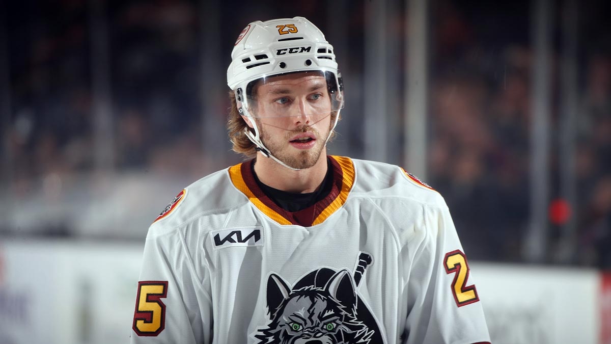 American Hockey League tweet media