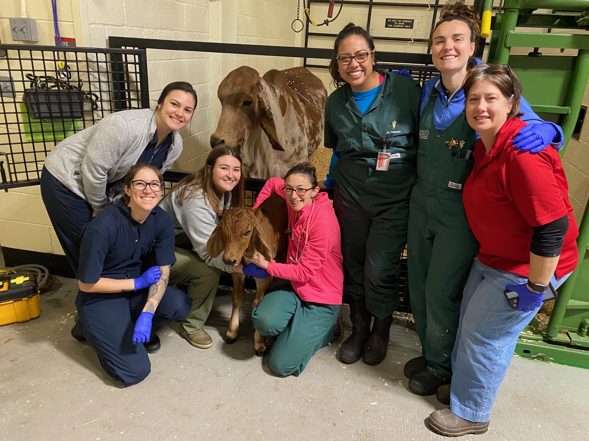 NC State Vet Medicine on Twitter "MIRACLE WORKERS . Kaleidoscope the