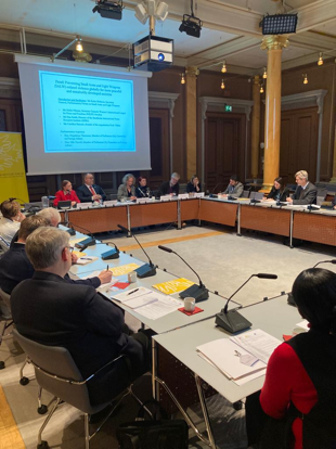 ParlForumSalw's tweet photo. Warm gratitude to all panellists &amp; participants for joining @ParlForumSalw’s 20th Anniversary Seminar in @Sverigesriksdag on Dec 14 on MPs' role in reducing illicit #SALW for #Peace. Thank you to hosts Hon. @Olle_Thorell &amp; Hon. Magdalena Thuresson #PFSALW20Years #WordsOverBullets https://t.co/6AssqT6qWw