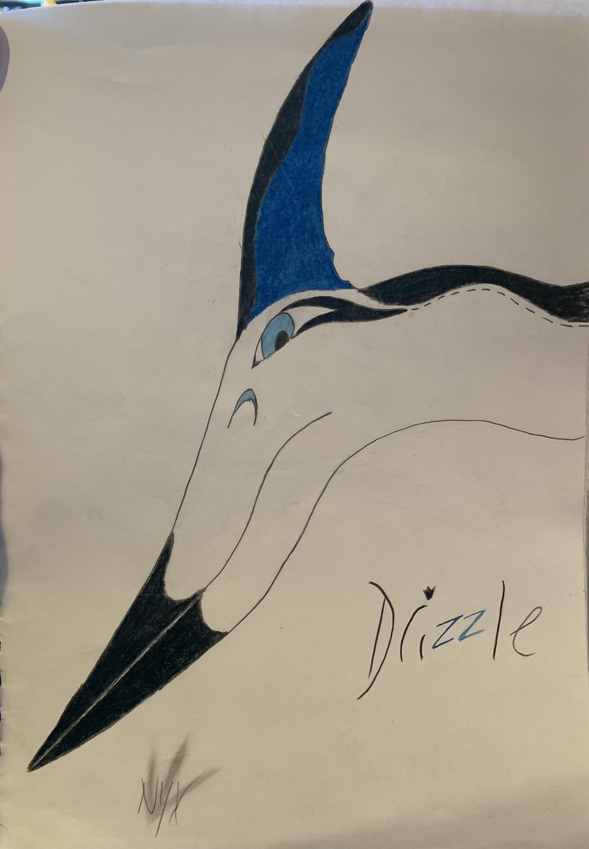 Unbending_tides's tweet photo. Okay!

I’ve decided I’m content with this “headshot” of my pterasaur character!

[Time: 1hr. &amp; 22min.]

Let me introduce: Drizzle!
He has a dedicated page on my Toyhouse page: https://t.co/PwlaBk83hL 

If you like this character, or any work I do.
Any appreciation is welcome! https://t.co/xe4AjtoWgG