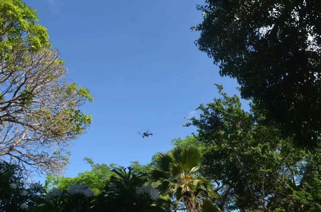 arturbruno's tweet photo. SEMA recebe drone como medida compensatória ambiental
Saiba mais: https://t.co/VZrvzV4D3k https://t.co/beq9PkFrFZ