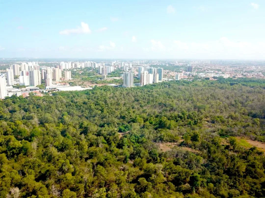 arturbruno's tweet photo. SEMA recebe drone como medida compensatória ambiental
Saiba mais: https://t.co/VZrvzV4D3k https://t.co/beq9PkFrFZ