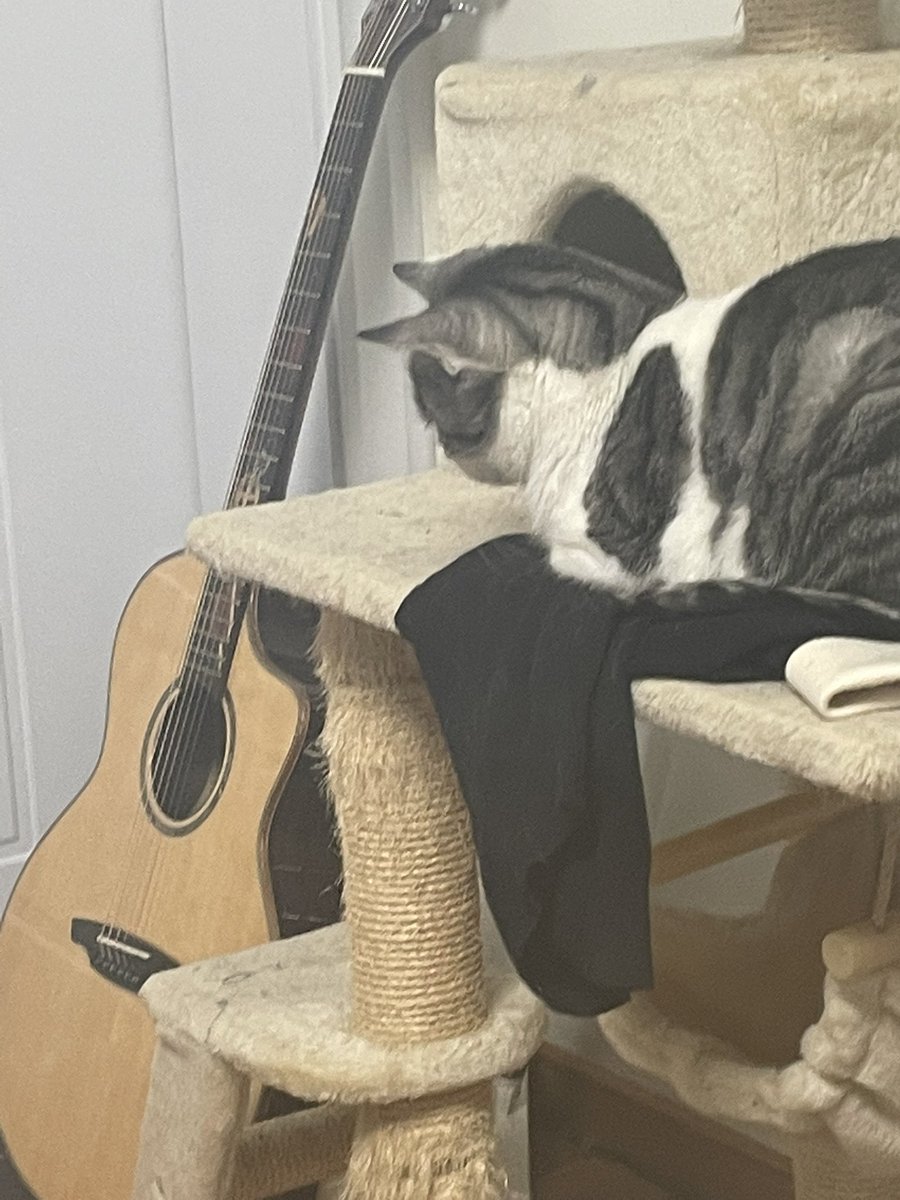 好像在观察猫咪一家玩冰球运动hhhh
红色本就是光波最长的颜色啦 https://t.co/uda8Pp01WU