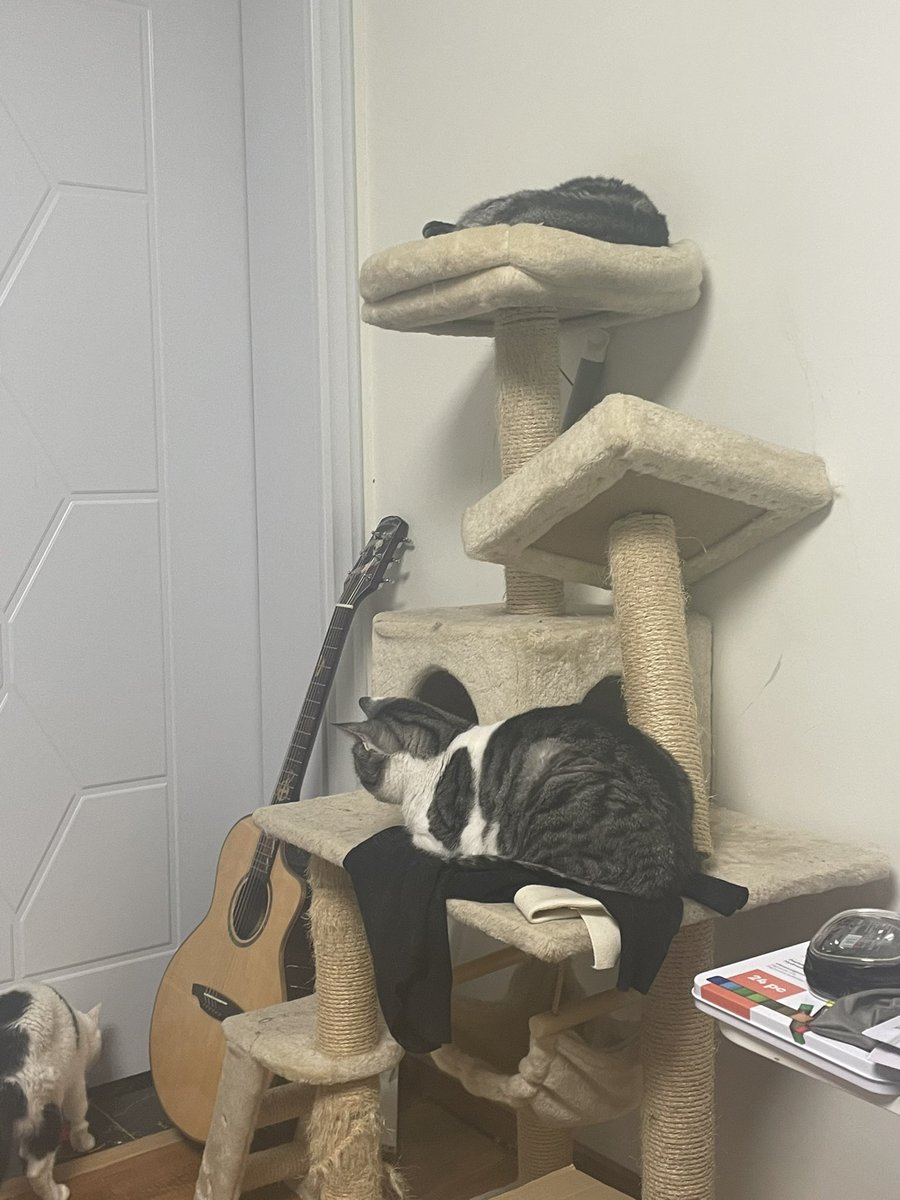 好像在观察猫咪一家玩冰球运动hhhh
红色本就是光波最长的颜色啦 https://t.co/uda8Pp01WU