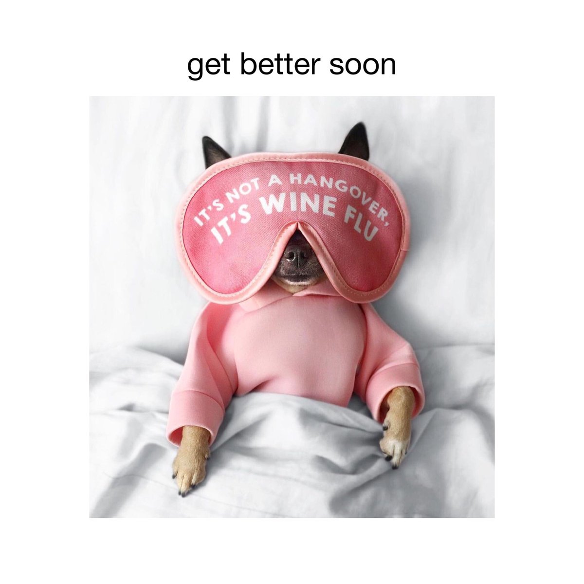 PetWinery tweet media