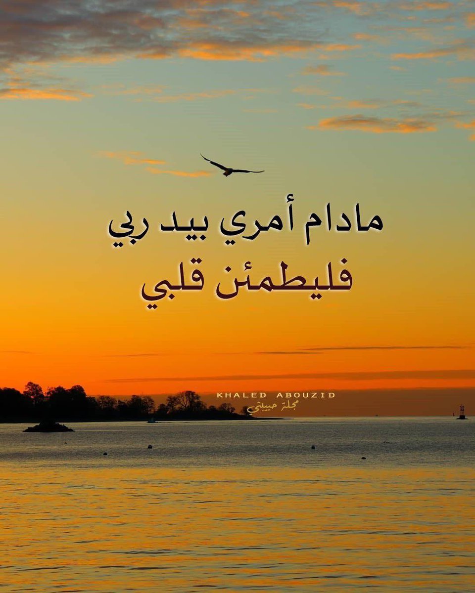 f99cp's tweet photo. #مساء_الخيرᅠ https://t.co/lWkmdhDArr