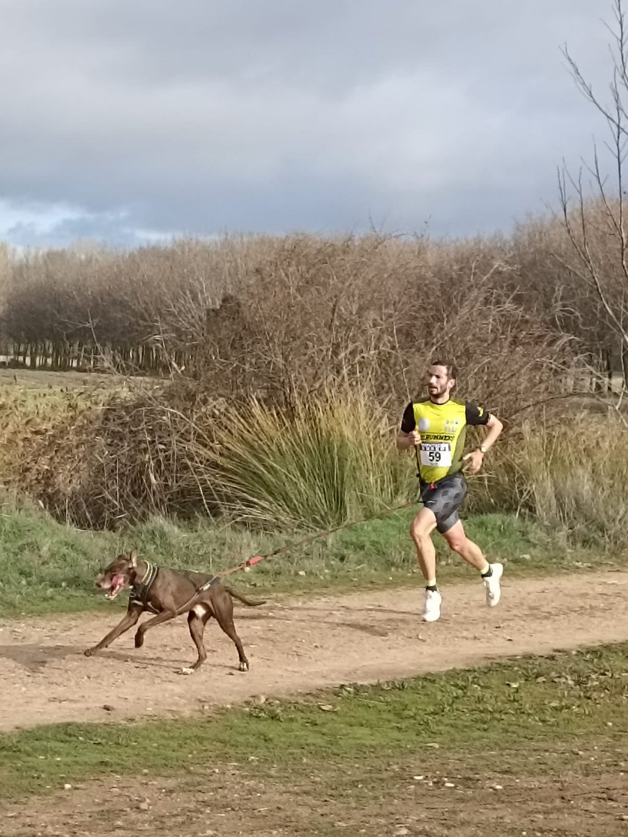 Nala, Aquiles y Orión tweet media