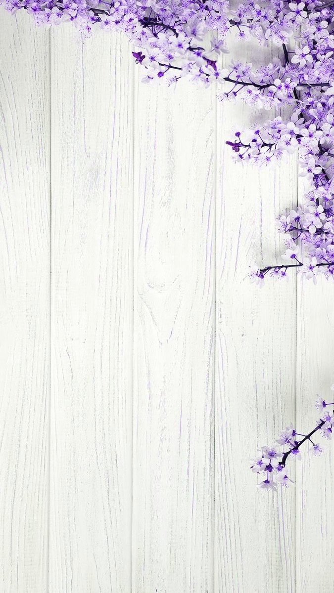 My_life_Violet's tweet photo. https://t.co/eB6c9eX7oS