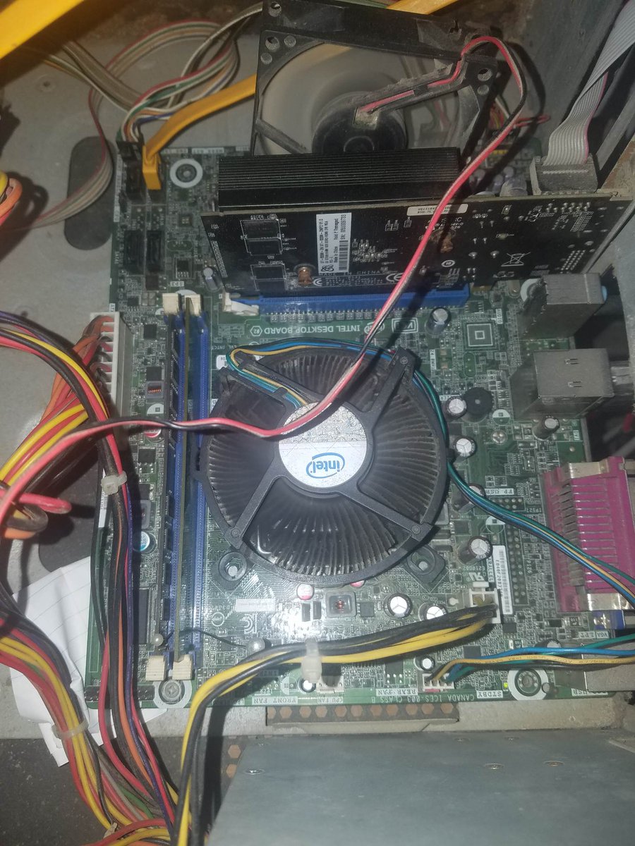 MasterDKM's tweet photo. @MSI_ES Disco duro 500gb
Targeta grafica Gt 520 1g con 12 años de edad
procesador intel pentium G2030
Placa madre con problemas en los slot de RAM, tengo que colocarles alfileres para que hagan contacto, muchas veces no enciende la pc y paso horas moviendo todo para que encienda. Saludos https://t.co/40ZvPb0CLz