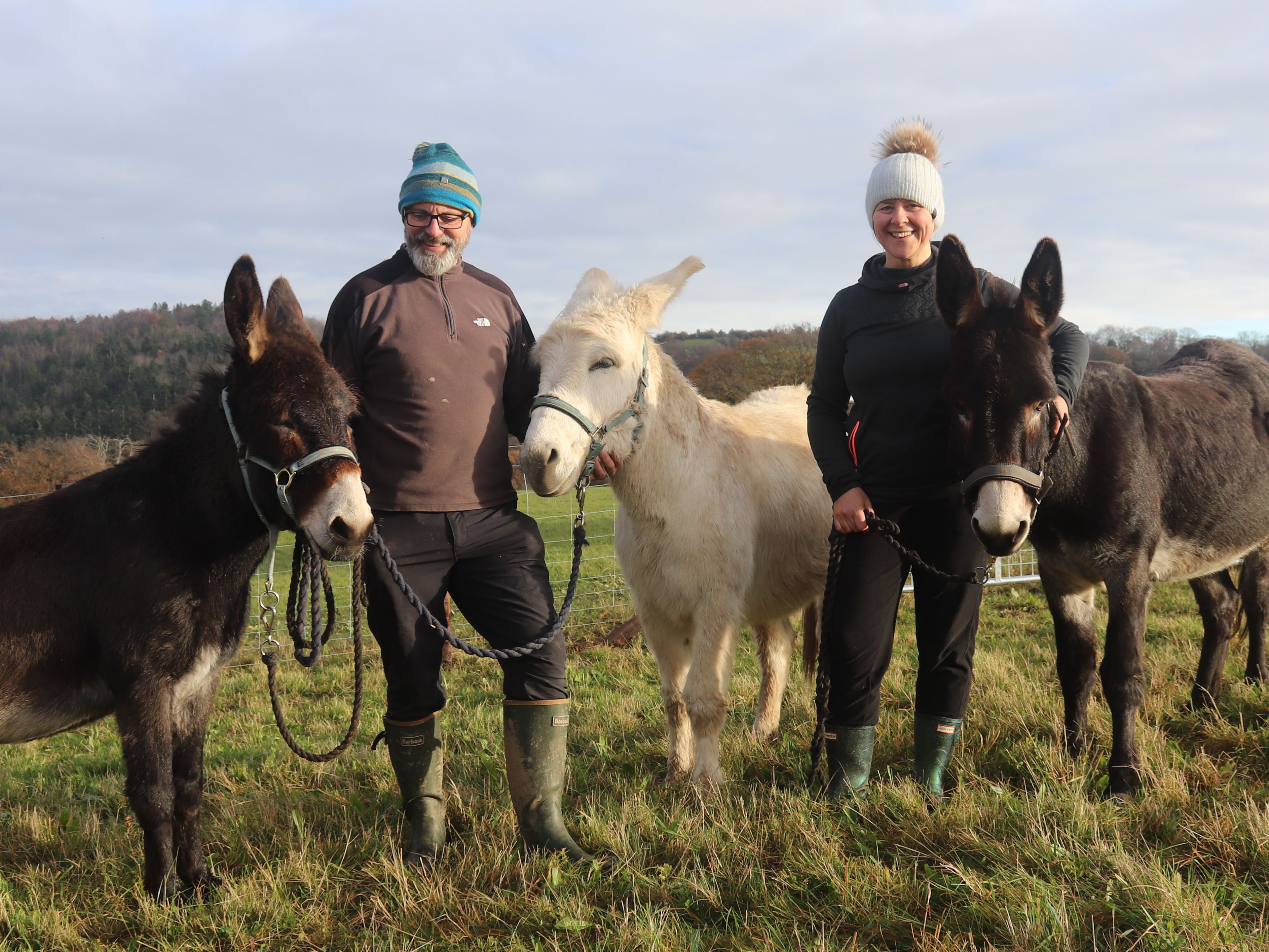 The Donkey Sanctuary (@DonkeySanctuary) / Twitter