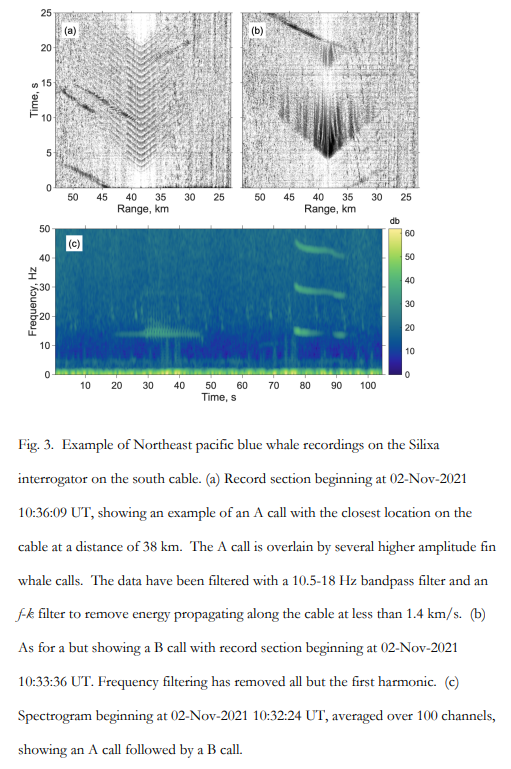 bluewhalenews's tweet photo. New technique locates blue whale calls to within tens of meters along a optical fiber cable, by measuring the strain on the cable 
https://t.co/w8IBaFSZ2K
#preprint by @williamwilcock @ShimaAbadi @brad_lipovsky https://t.co/P8GqFvwbcu
