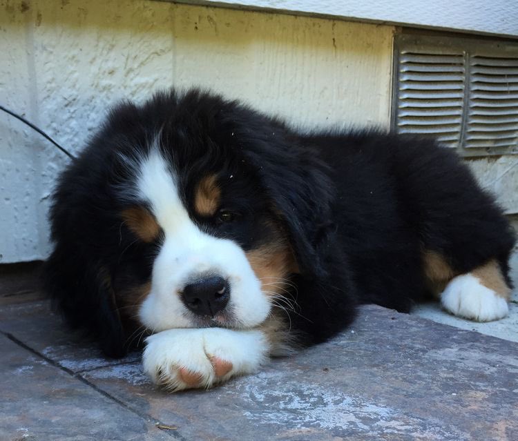 CycloneDelivery's tweet image. to : @oceanily 
from : 
   - “UR ONE OF MY NICEST OOMFS ILYSM!!/p you’re so cool pls take a break if u need it”