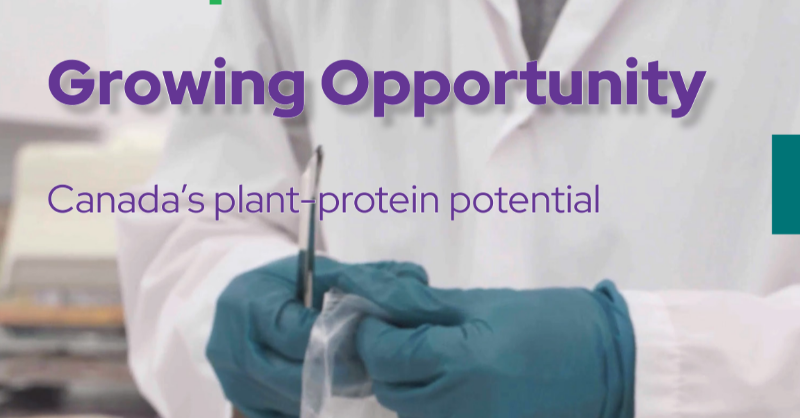 proteinindcan's tweet photo. Our latest edition of Growing Opportunities magazine is out now! 

Read success stories from @AvenaFoods @paletteskills @SIITlive @LupinPlatform @NRGeneCanada @EMILI_Canada @PlantVeda and more!