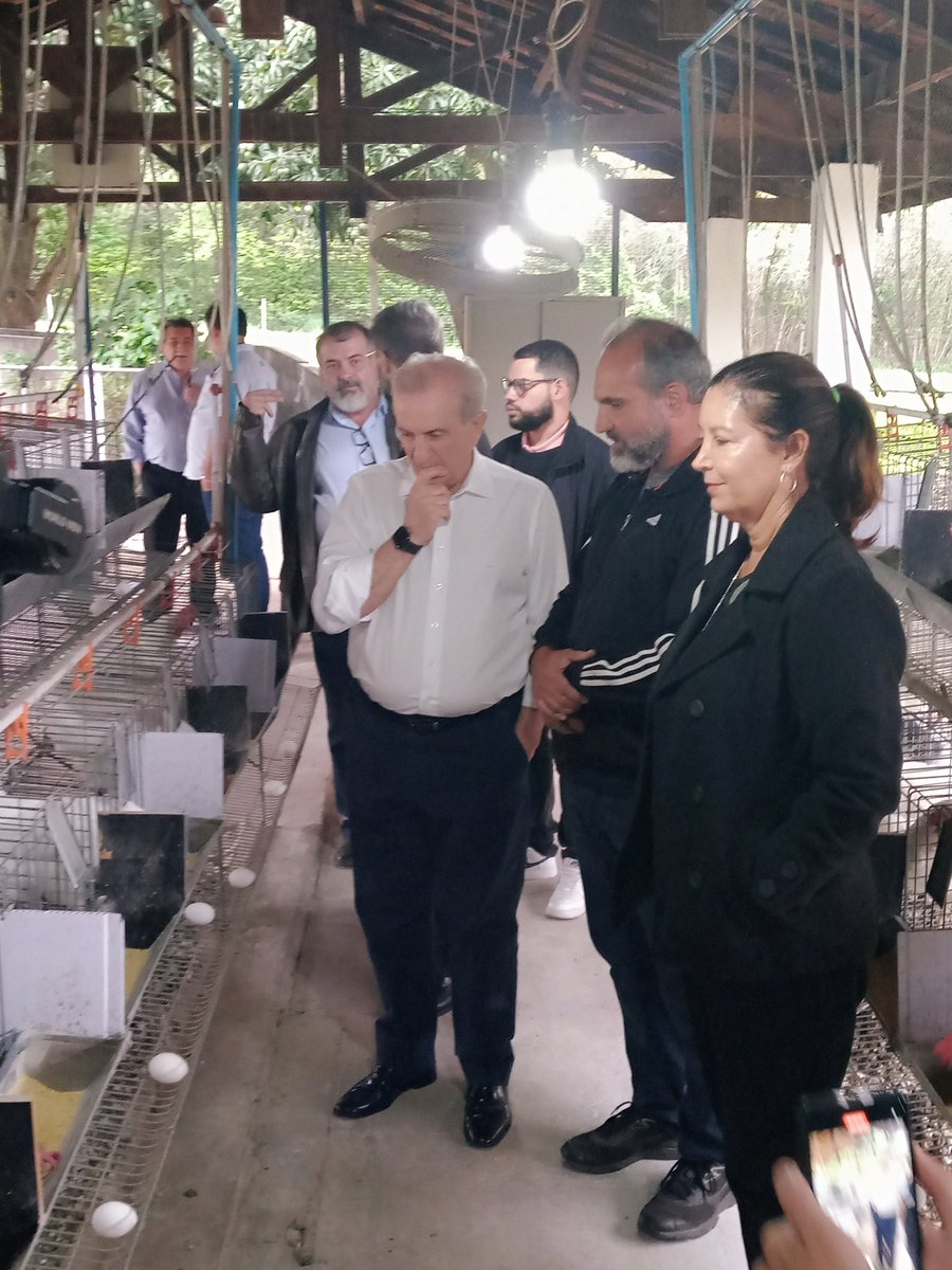 IZ recebe Matturro, Secretário da Agricultura na Durante a visita, o Secretário visitou o Laboratório de Biotecnologia Animal, o Aviário Experimental do Laboratório de Aves e Ovos e a Unidade de Eficiência alimentar de Ovinos.
Saiba mais: iz.sp.gov.br/noticia.php?id…