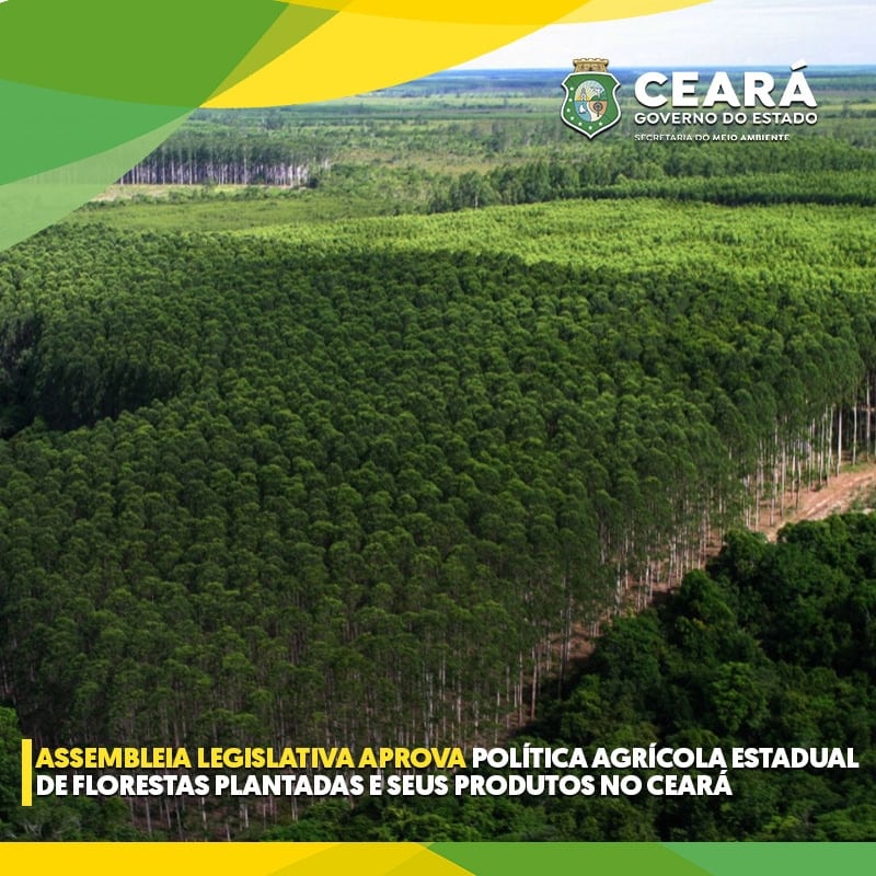 arturbruno's tweet photo. Assembleia Legislativa aprova Política Agrícola Estadual de Florestas Plantadas e seus produtos no Ceará
Saiba mais: https://t.co/emWQxn4veD https://t.co/MfkWAODrOy