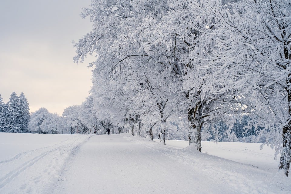 IISCBlog's tweet image. IISC is closed from December 21 - January 2 to allow our staff time to rest, spend time with their loved ones, and celebrate. We wish everyone a beautiful close to 2022 and send all the best for the year to come.