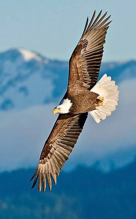 Өглөөний мэнд.
Зорьсон үйлс нь 100% биелж, сэтгэл хангалуун өдрийг өнгөрүүлээрэй.