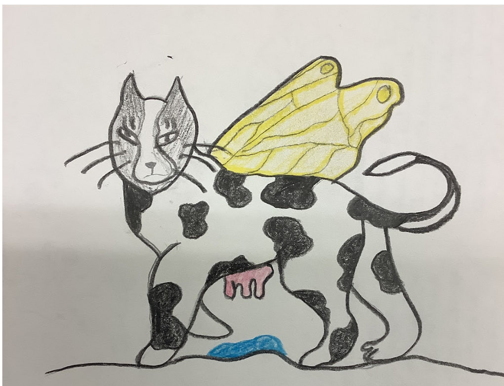 Student showcase binomial nomenclature fictional creatures with Latin and Greek names. #creativity #collaboration #grade9science #etymology