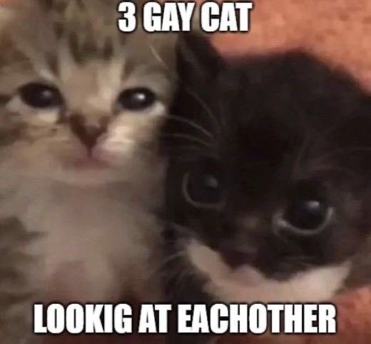 CycloneDelivery's tweet image. to : @dodecanine 
from : 
    - “hey dude, i am so so glad i met you. you’ve stuck by me through so much and i am eternally grateful to be able to call you one of my best friends. thank you for all you’ve done for me dude. you are awesome.”