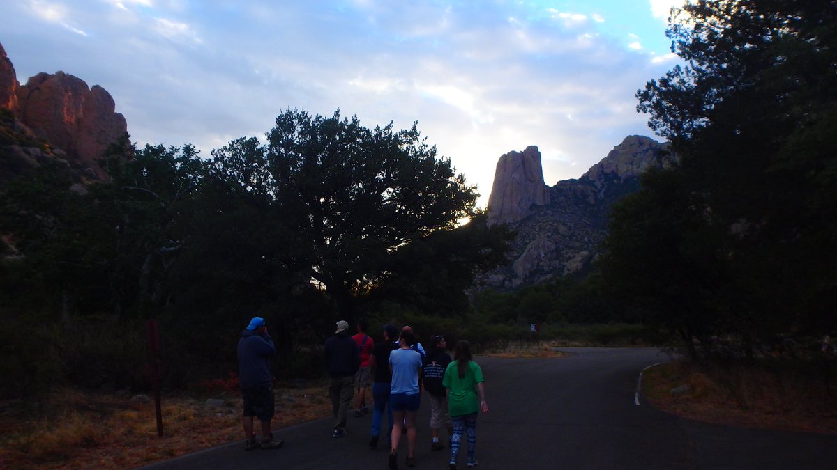 Love yourself some lizards? Our Field #Herpetology high school camp will get students hands-on with amazing reptiles like these in the incredible habitats of SE Arizona. This region has an incredible biodiversity of reptiles and amphibians.

1/2