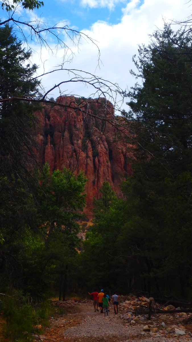 Sternberg Science Camps+ tweet media