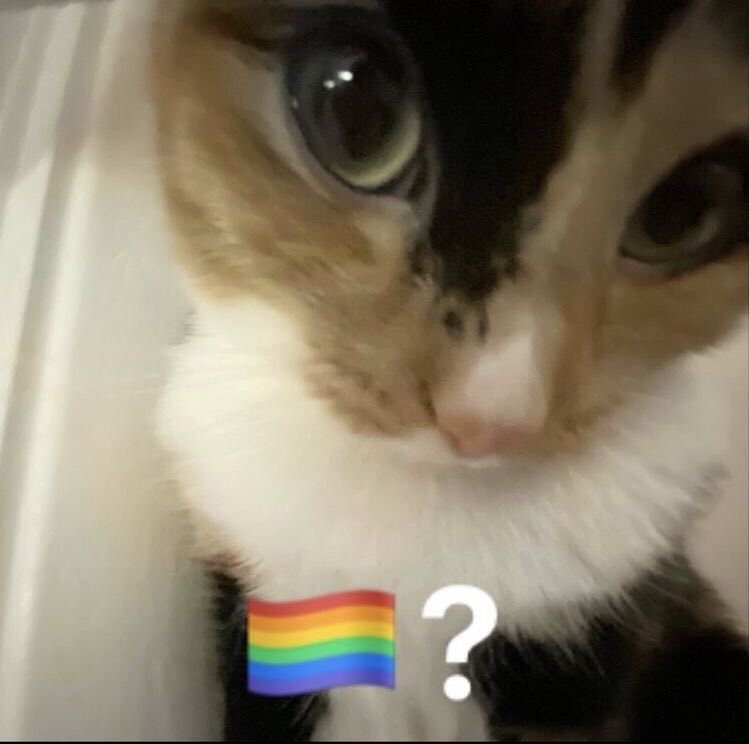 CycloneDelivery's tweet image. to : @junkgh0st
from : 
   - “you are genuinely one of the kindest people i’ve ever met. thank you for always being so supportive and kind, and for making me laugh so hard my chest hurts. i’m so glad we are friends.”