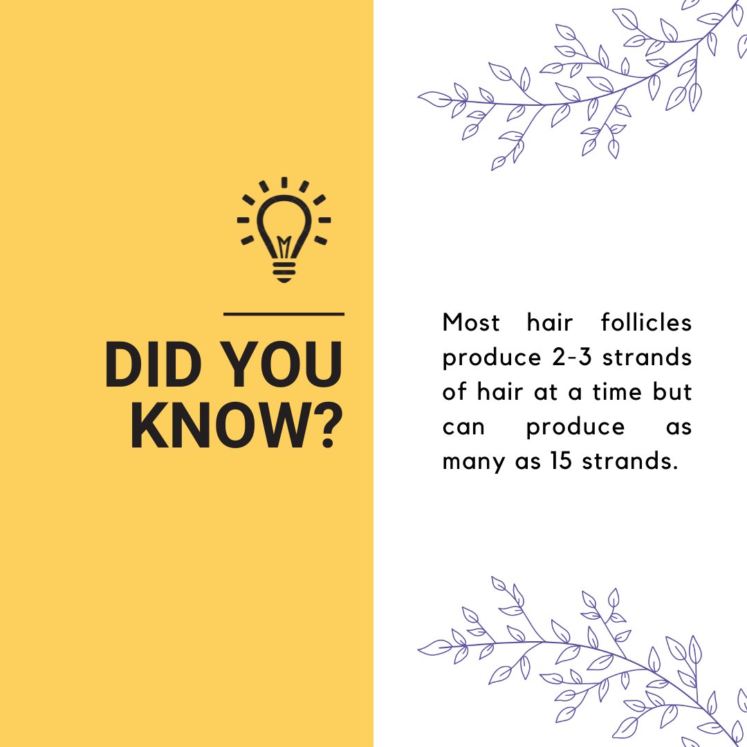Learn more about your hair on myhaircounts.com 💜
#myhaircounts #myhairmatters #hairloss #hairdensity #dandruff #grayhair #grayhairdontcare #hair #hairfall #hairjournal #hairgrowthtips #hairfallsolution #hairlosshelp #hairusa #usahair #hairfalltreatment