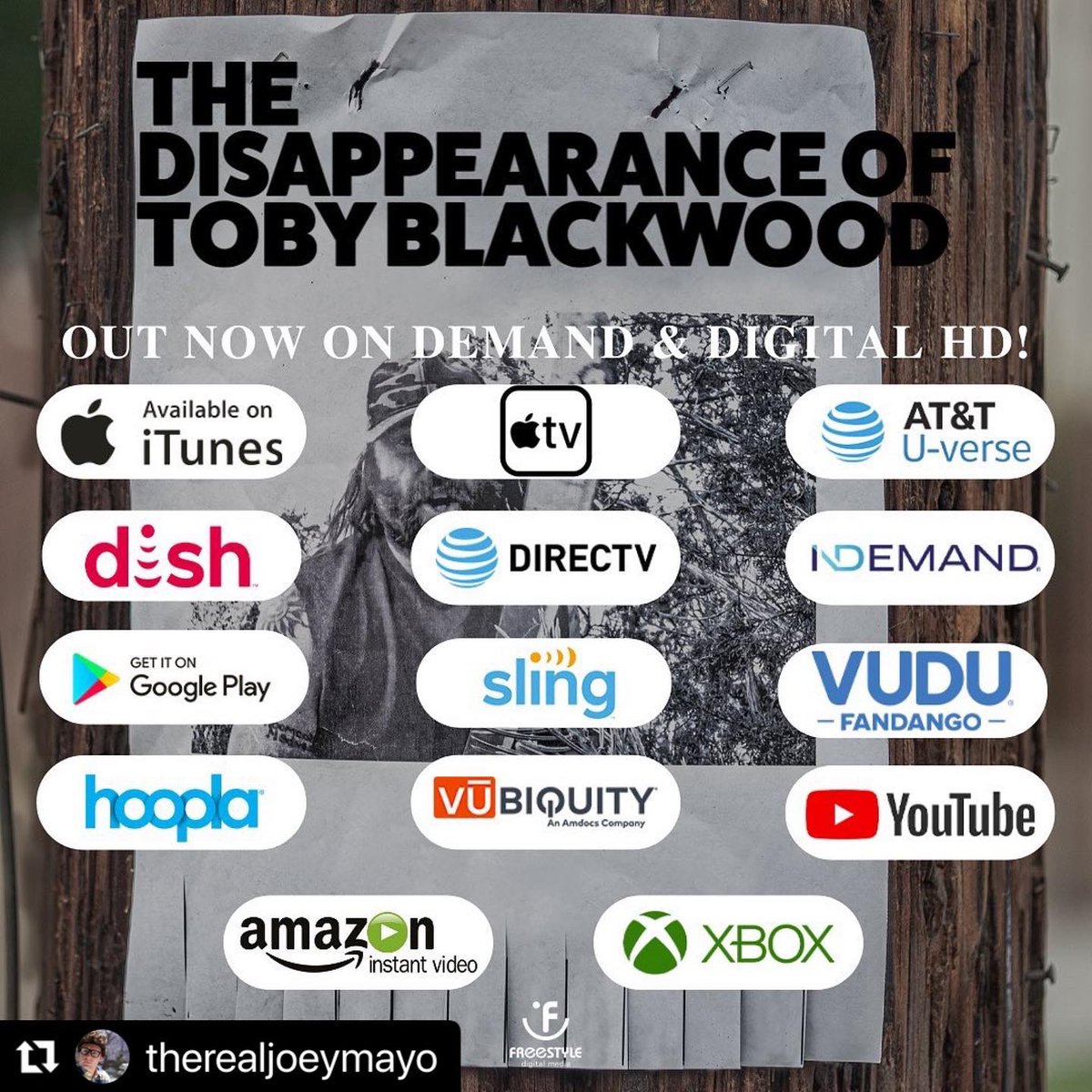 Dana DeLorenzo tweet media