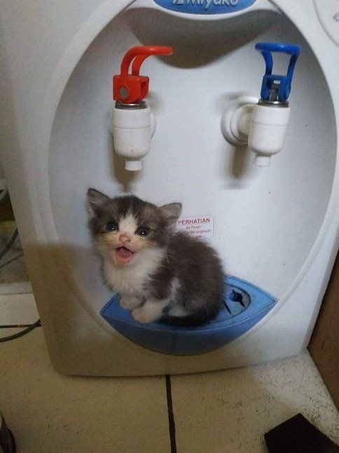 CycloneDelivery's tweet image. to : @bagsy_her_room 
from : 
    - “BFF STEVIE!!!!!!! you are such a ray of sunshine. thank you for being my friend”