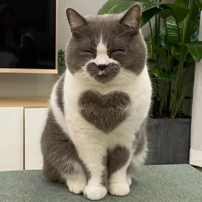 <3
